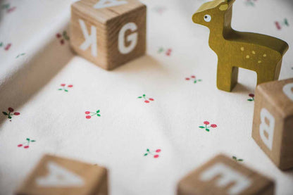 Play&Go Speeldeken /Opbergtas Noomad Cherry cherry
