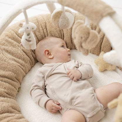 Nattou Speeltapijt met bogen TEDDY