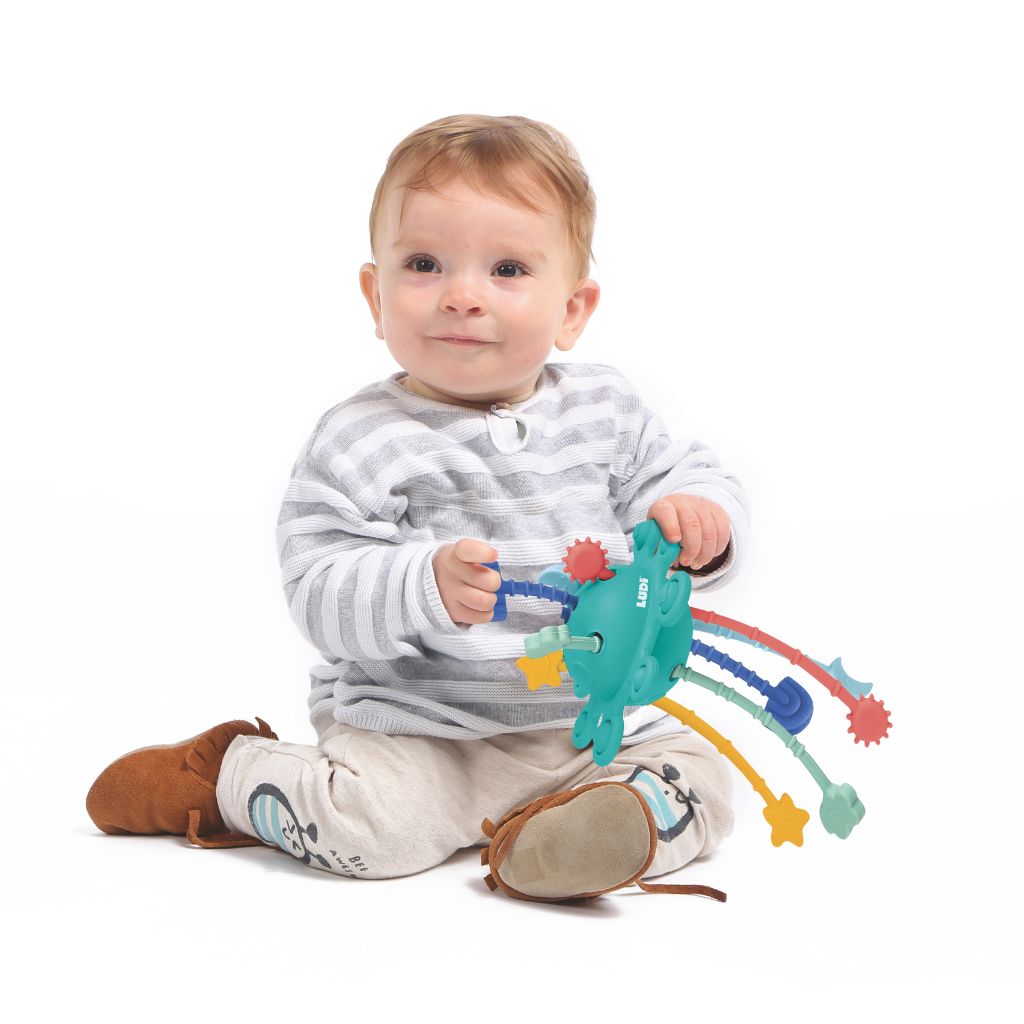 Ludi Jouet d'activité hochet Zippy Toy