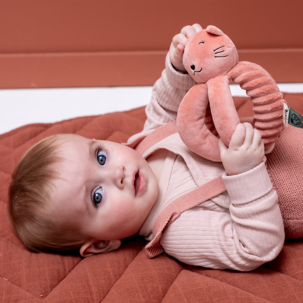 Trixie Baby Grijpbal Mrs. Cat roze