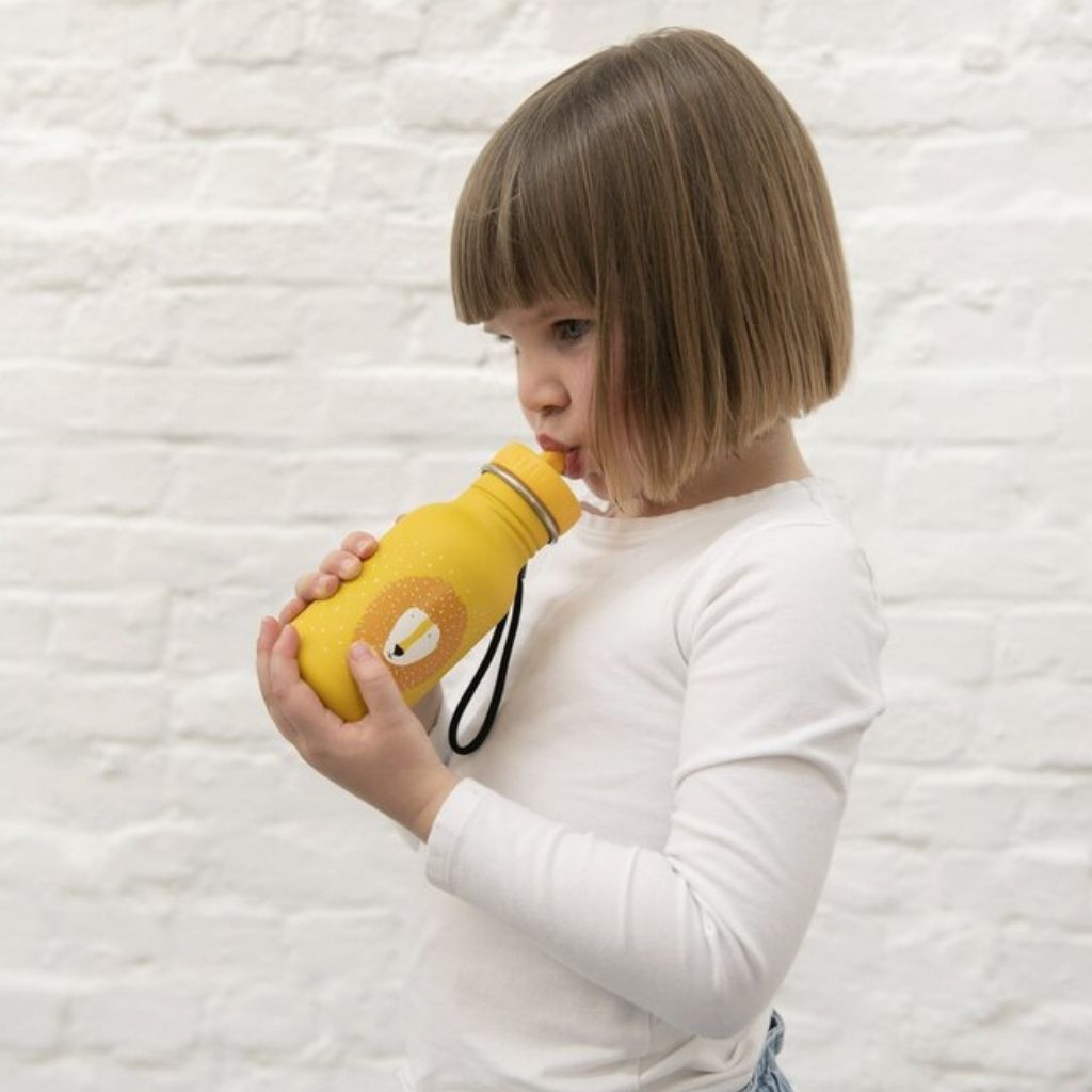 Trixie Gourde Animals Mr. Lion 350 ml jaune