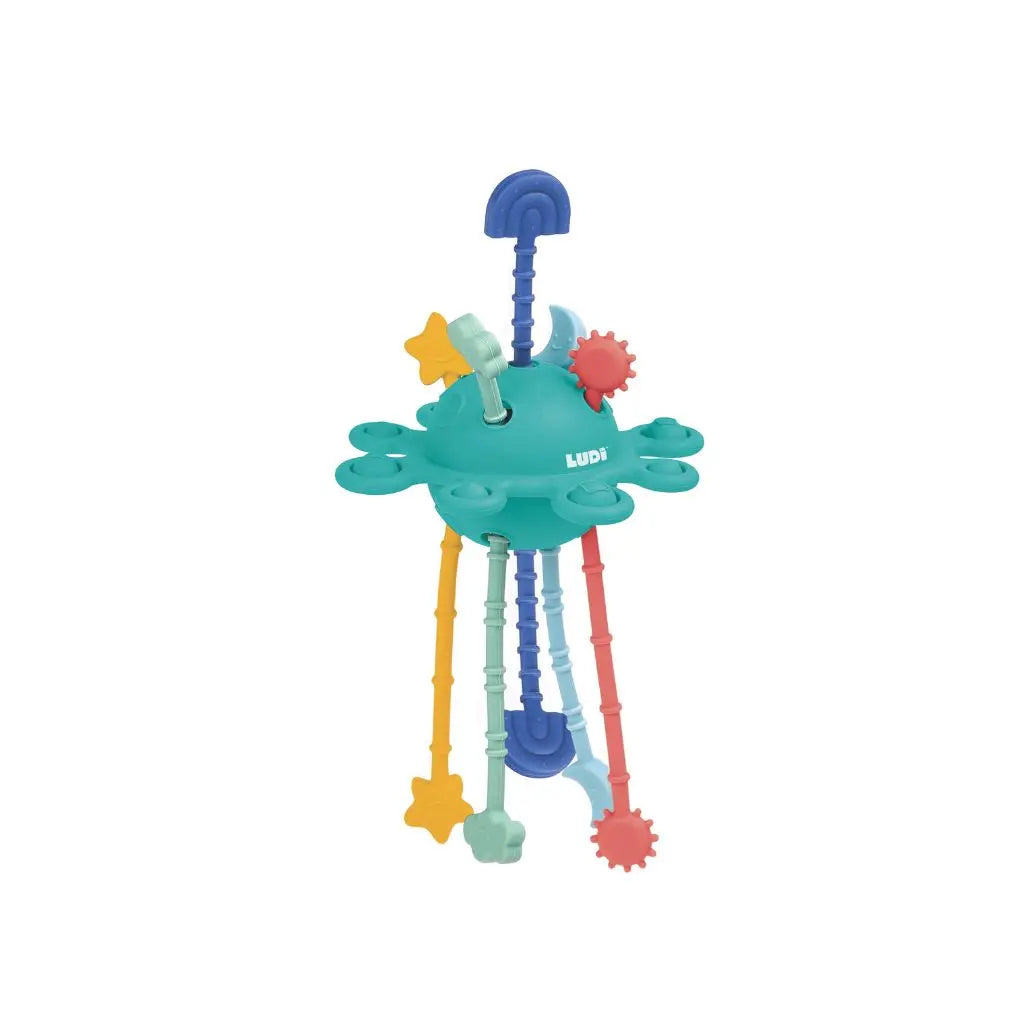 Ludi Jouet d'activité hochet Zippy Toy