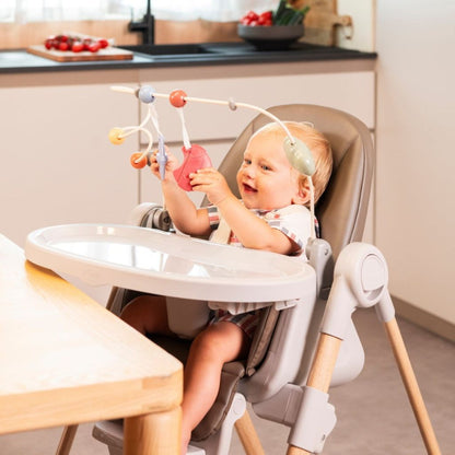 Chicco Speelboog voor eetstoel Polly Armonia
