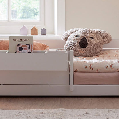 LIFETIME Coussin koala