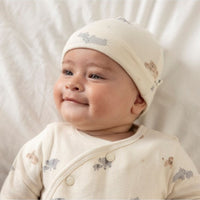 muts dreambaby
