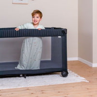 reisbed dreambaby